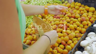 Picking Apricots from the Fruit Pack