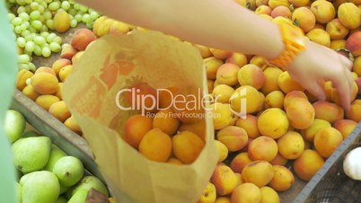 Woman choosing ripe apricots on the market