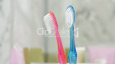 Childs and adults toothbrushes in the cup