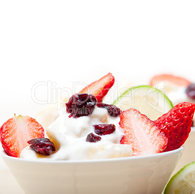 fruit and yogurt salad healthy breakfast