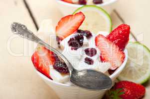 fruit and yogurt salad healthy breakfast