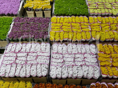 Blumenauktion in Aalmeer