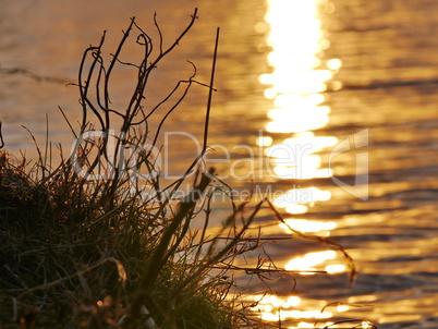 Ijsselmeer bei Sonnenuntergang
