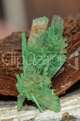 Grüner Gips  Kristall  - Calciumsulfat-Dihydrat