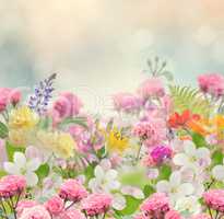 Beautiful Flowers Background