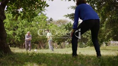 12-Happy Family Grandma Grandpa And Boy Playing Football