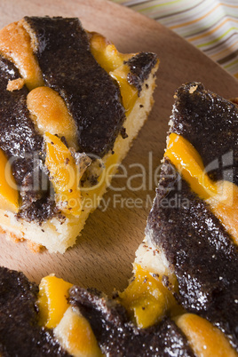 Cake with poppy seeds and oranges