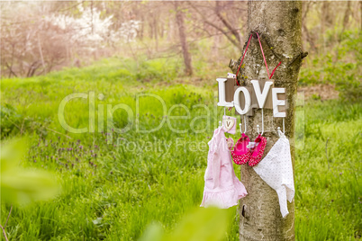 pink baby shoes and dress hanging on the tree