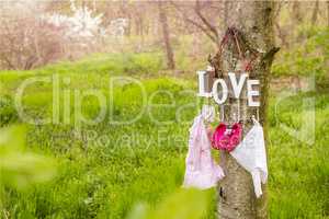 pink baby shoes and dress hanging on the tree
