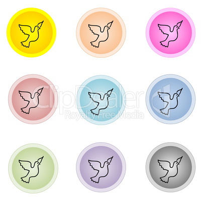 Set of colorful buttons with dove bird