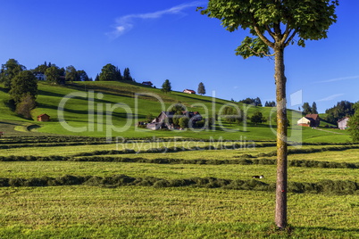Appenzell landscape, Switzerland