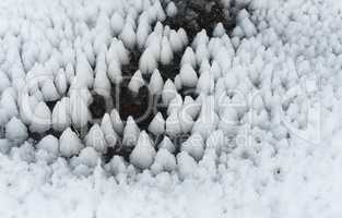 Frozen ice pattern on snow by water photo. White winter mushrooms.