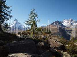 Matterhorn und Weißhorn