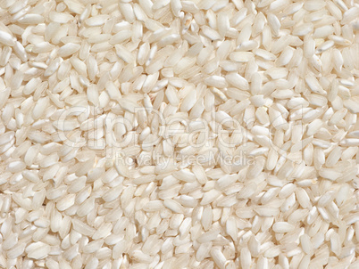 Carnaroli rice food