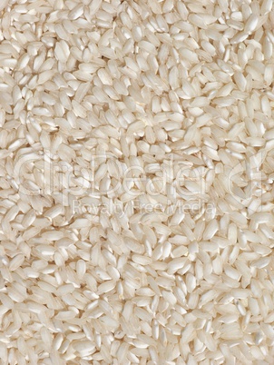 Carnaroli rice food