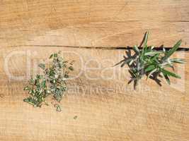 Rosemary plant on cutting board