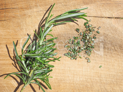 Rosemary plant on cutting board