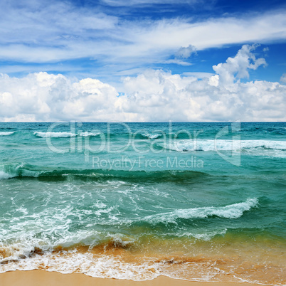 beautiful waves in the sea