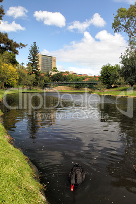 River Torrens