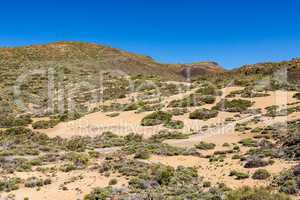 Landschaft auf der Kanarischen Insel Teneriffa
