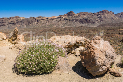 Landschaft auf der Kanarischen Insel Teneriffa