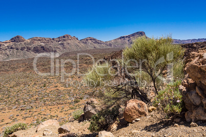 Landschaft auf der Kanarischen Insel Teneriffa