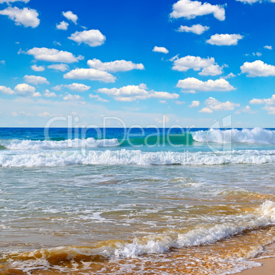 ocean, picturesque beach and blue sky