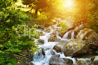mountain river, forest and bright sun