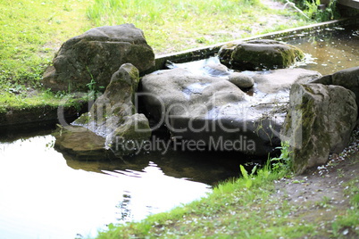 japan garden at day