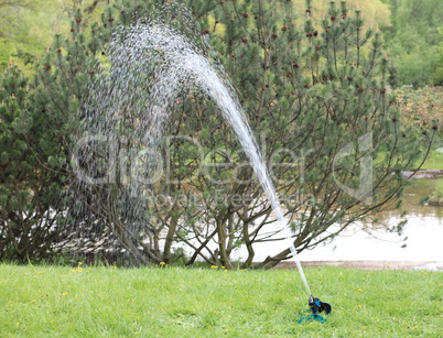 sprinkler in japan garden