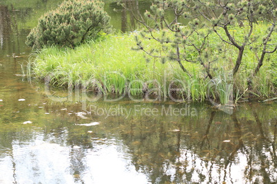 japan garden at day