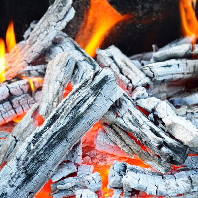 bonfire, fire, wood coal and ash