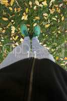 Feets on a green meadow with autumn leaves