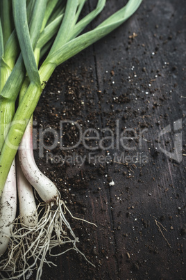 Fresh green garlic