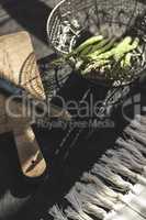 Asparagus on vintage table