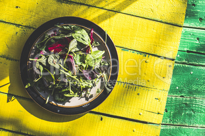 Spring salad of baby spinach, herbs, arugula and lettuce