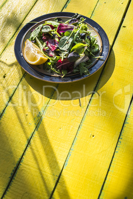 Spring salad of baby spinach, herbs, arugula and lettuce