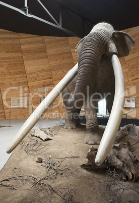 Model of mastodon