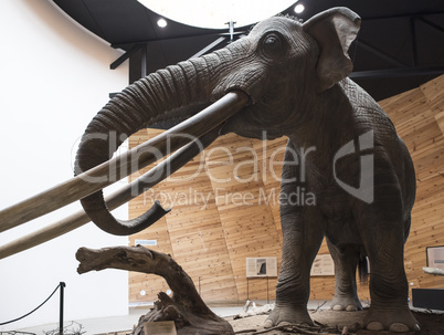Model of mastodon