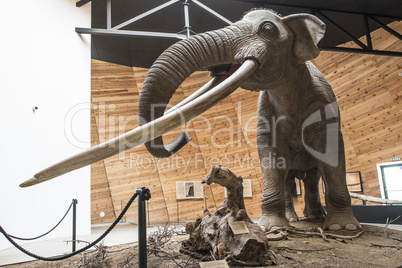 Model of mastodon