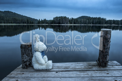 Fluffy toy bunny sitting on a pier