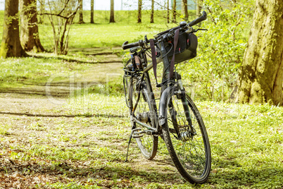 Bicycle stands in the park