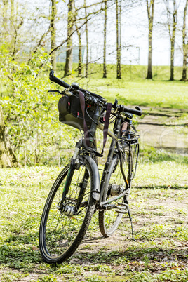 Bicycle stands in the park