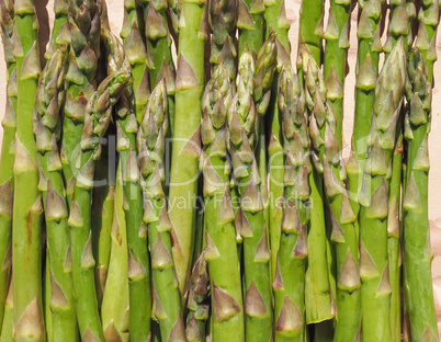 Green Asparagus vegetables