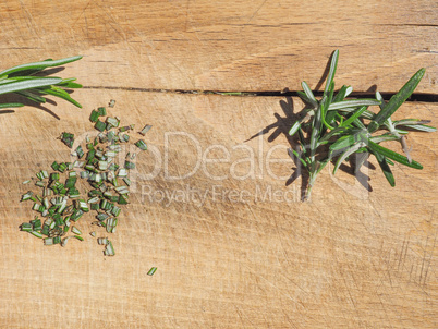 Rosemary plant on cutting board