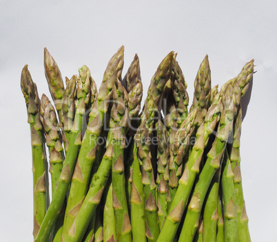 Green Asparagus vegetables