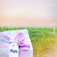 Composite image of mothers day greeting