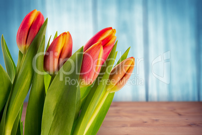 Composite image of tulip