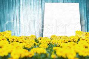 Composite image of yellow flowers
