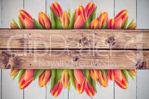 Composite image of tulip flowers